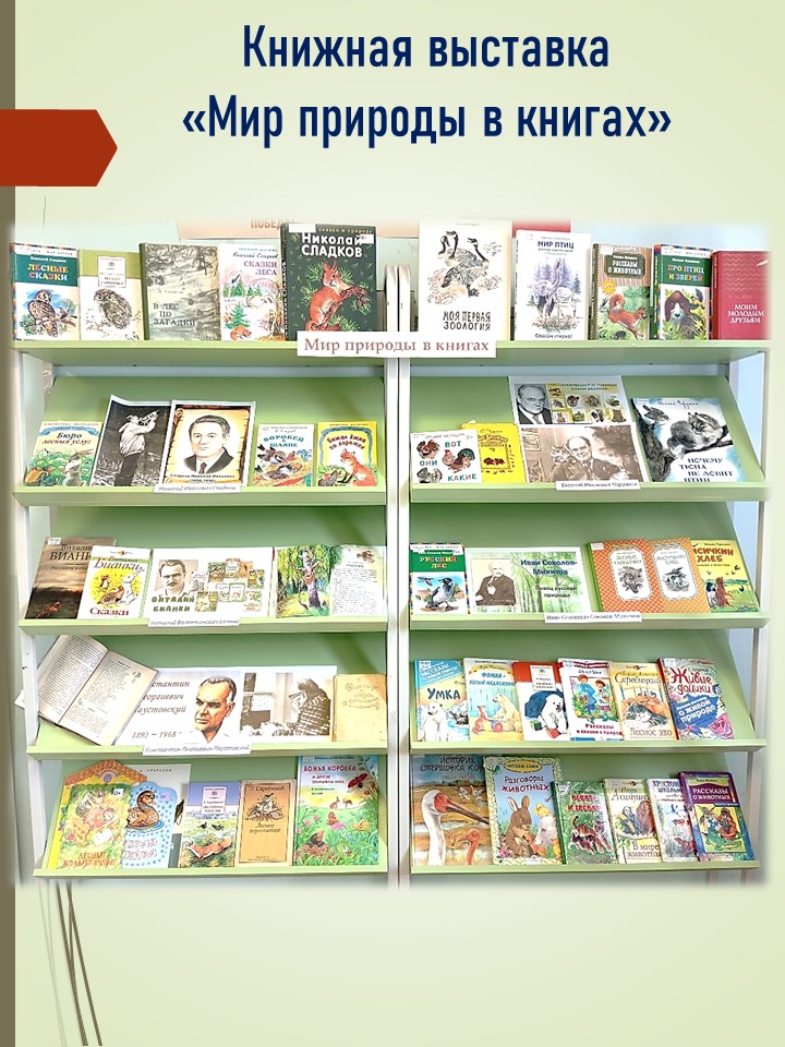 книжная выставка эко.jpg
