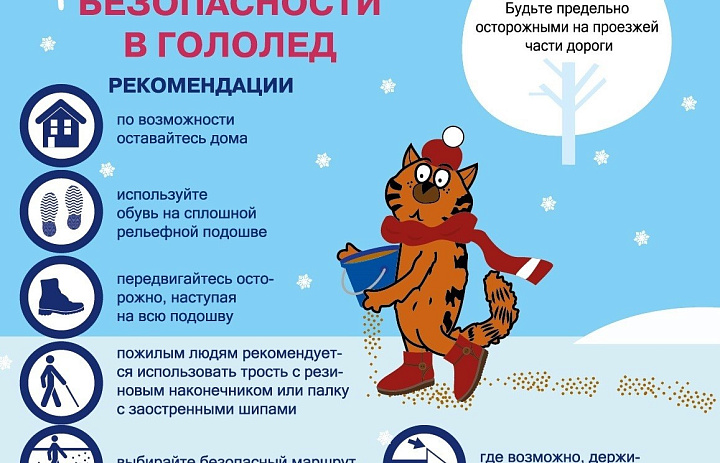 Правила безопасности в гологед