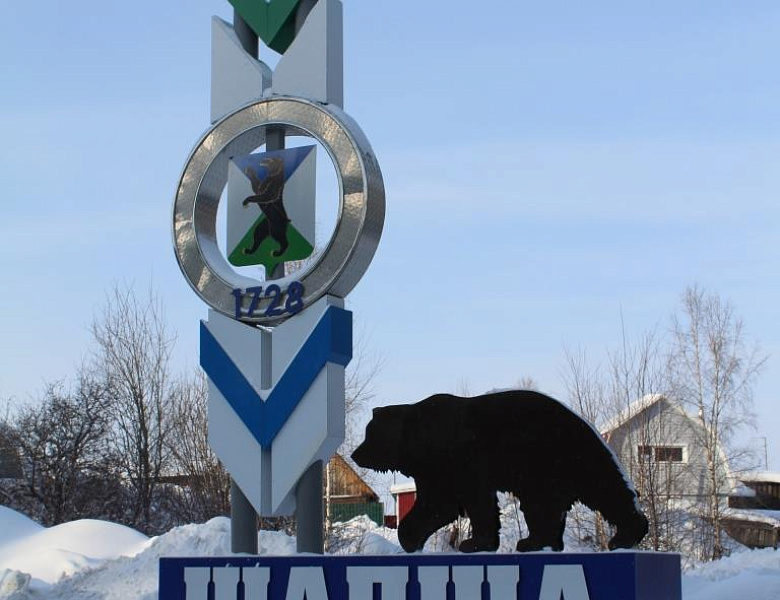 День Рождения д.Шапша