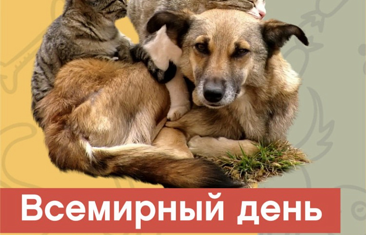 Всемирный день бездомных животных