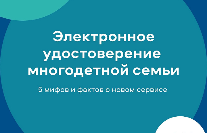 Электронное удостоверение многодетной семьи