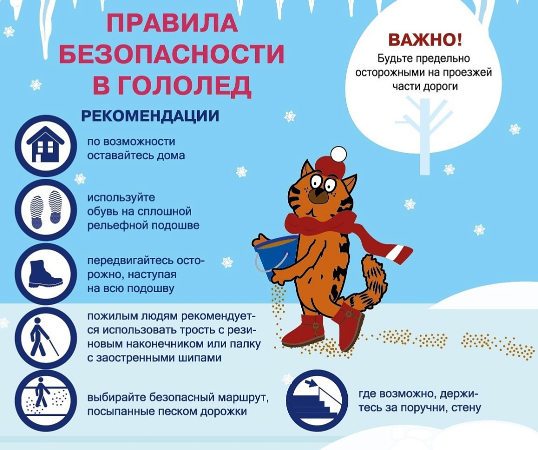 Правила безопасности в гологед